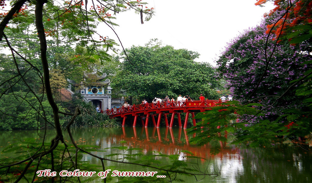 Cu_The_Huc_tren_h_Hoan_Kim-1